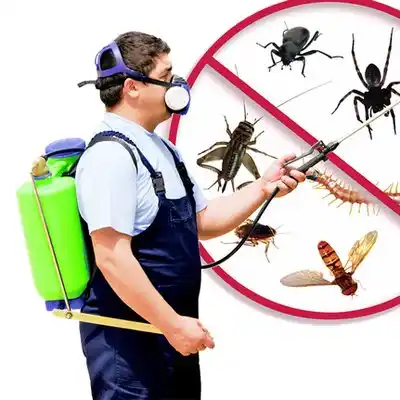 pest control Greenbelt